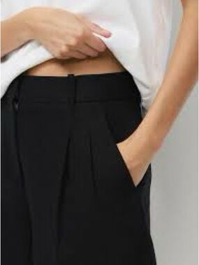 Aritzia wide leg tailored longshorts/ capris